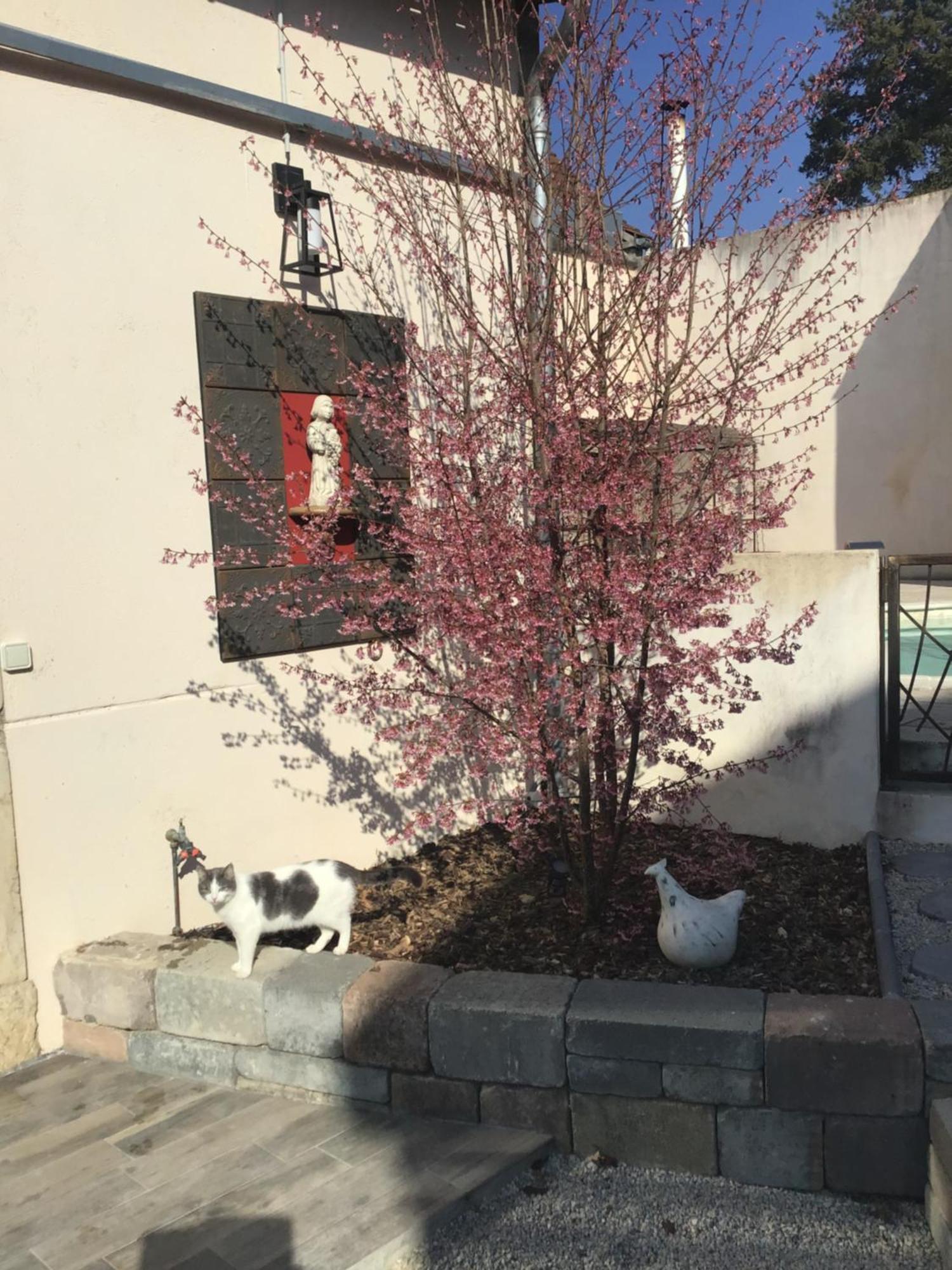 Ma Maison Beaune  Kültér fotó